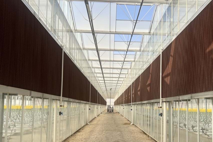 Commercial greenhouse cooling and climate infrastructure
