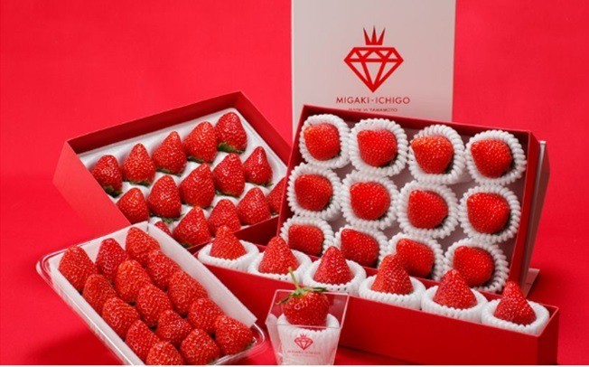 Premium strawberries prepared for high-value retail markets
